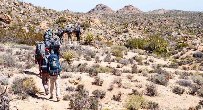 A group of people wearing backpacks hike through the desert landscape of Joshua Tree National Park. There are mountains in the distance. 